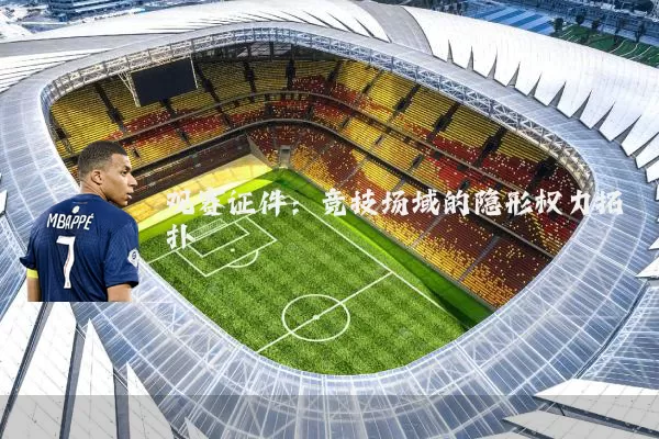 观赛证件:竞技场域的隐形权力拓扑